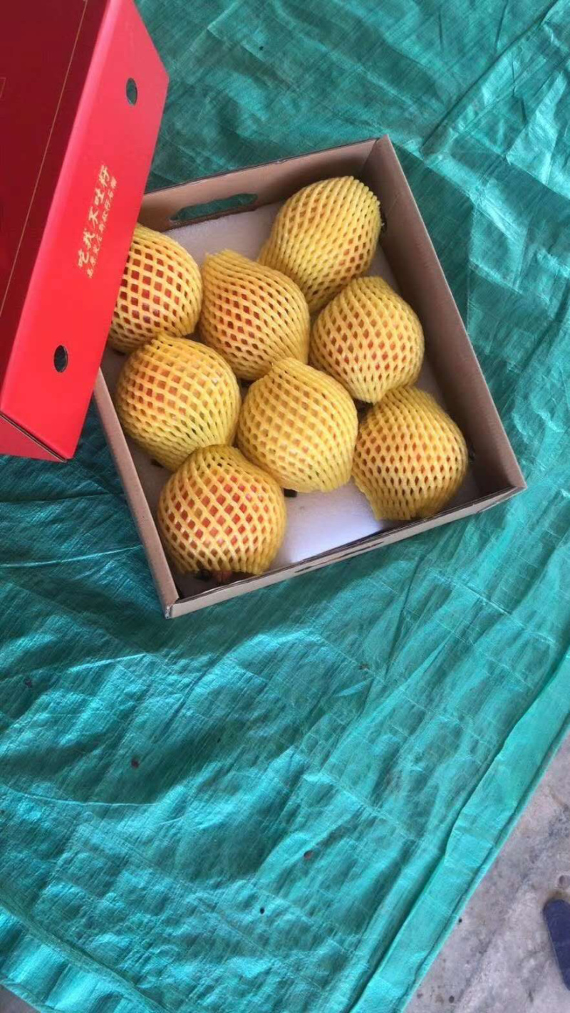 云南丽江石榴，突尼斯，产地直发，量大从优