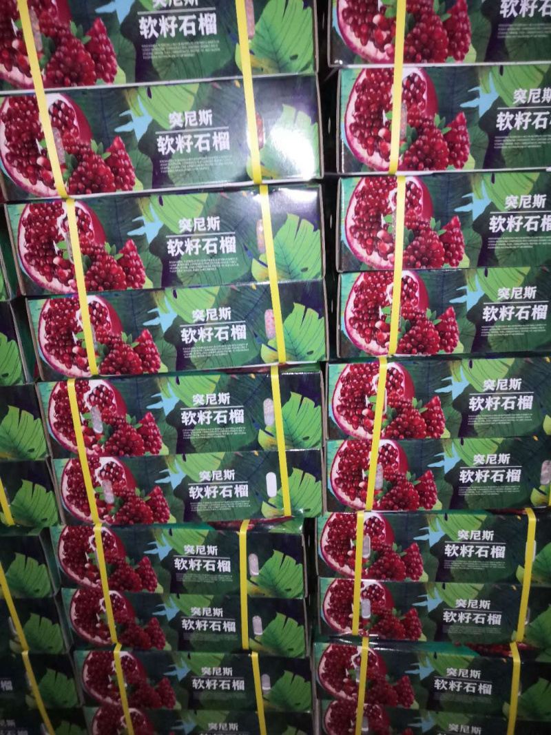 云南丽江石榴，突尼斯，产地直发，量大从优