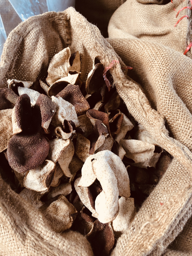 茶枝柑皮又名（陈皮）