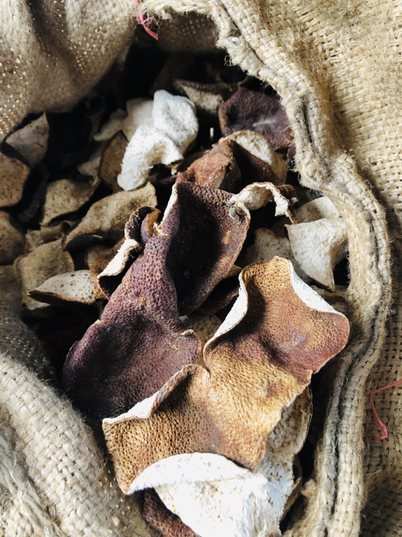 茶枝柑皮又名（陈皮）