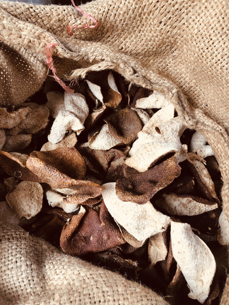 茶枝柑皮又名（陈皮）