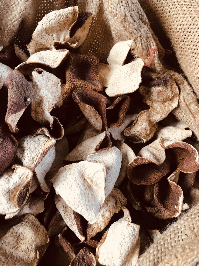 茶枝柑皮又名（陈皮）
