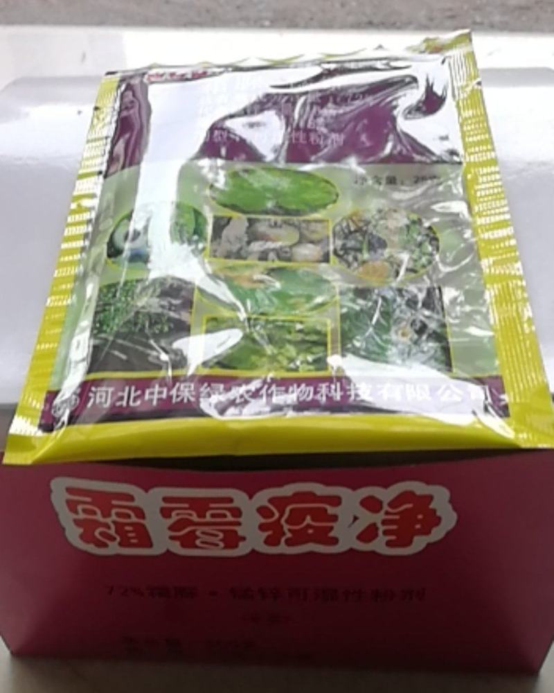 霜脲猛锌辣椒疫病番茄晚疫病黄瓜霜霉病马铃薯晚疫病
