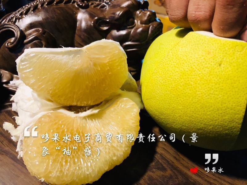 柚子东试早泡果西双版纳