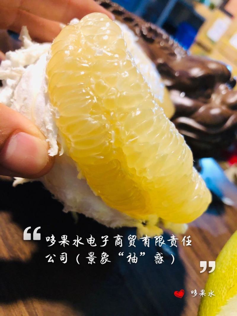 柚子东试早泡果西双版纳