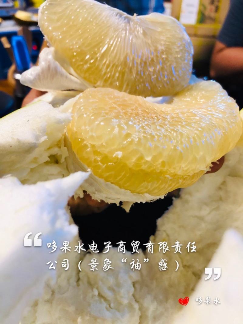 柚子东试早泡果西双版纳