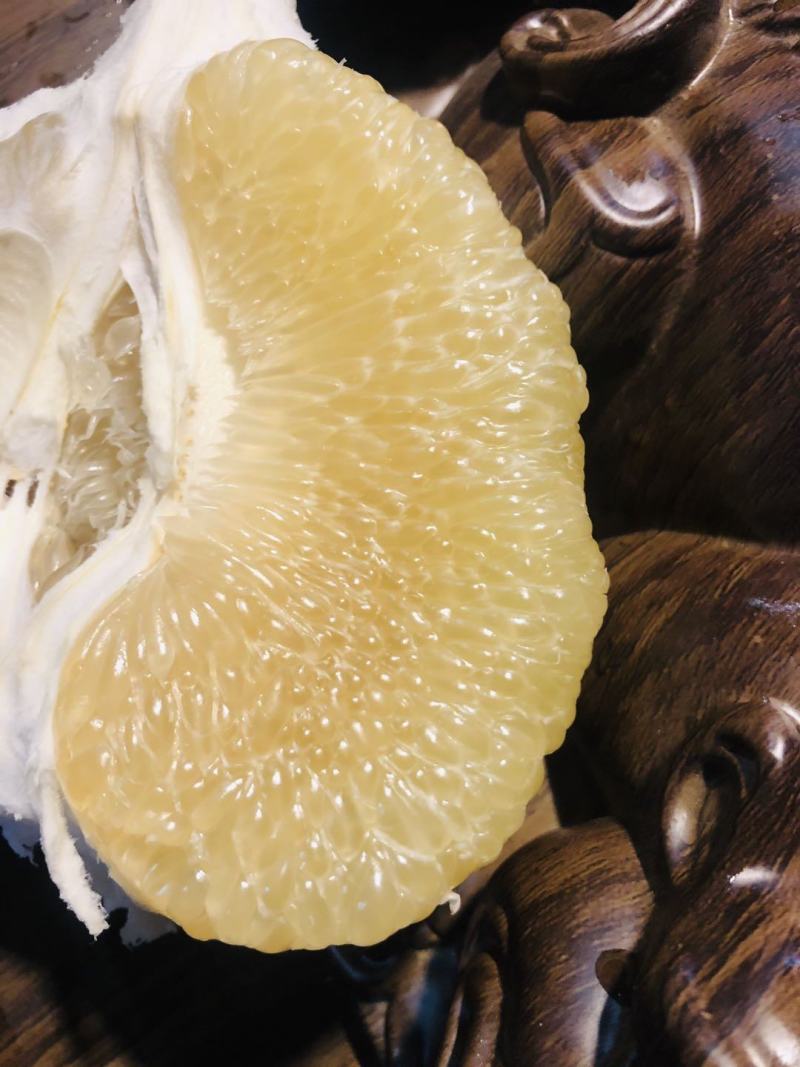 柚子东试早泡果西双版纳