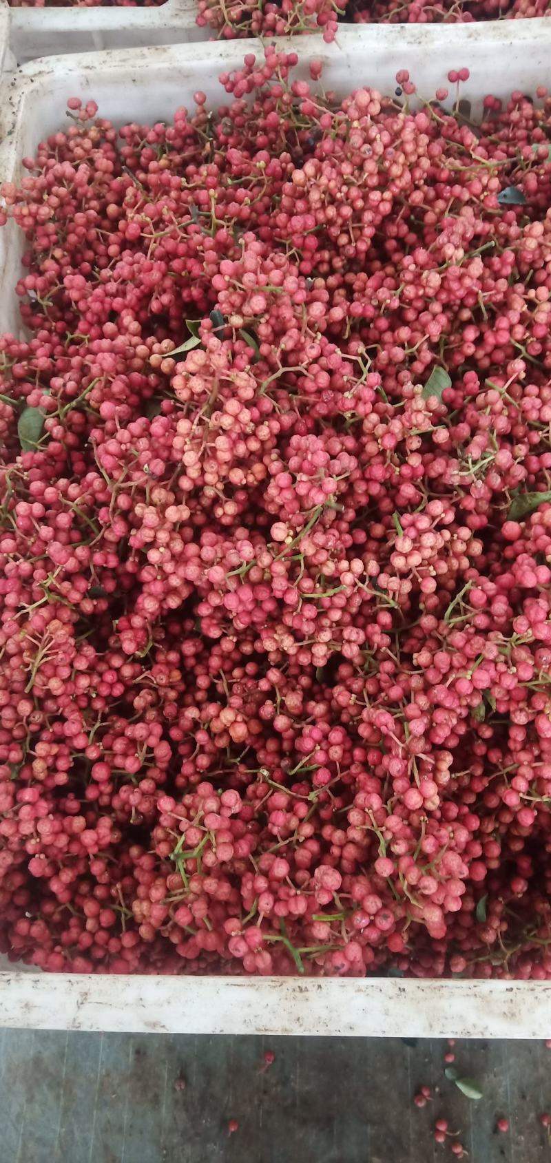 花椒，花椒花椒花椒花椒