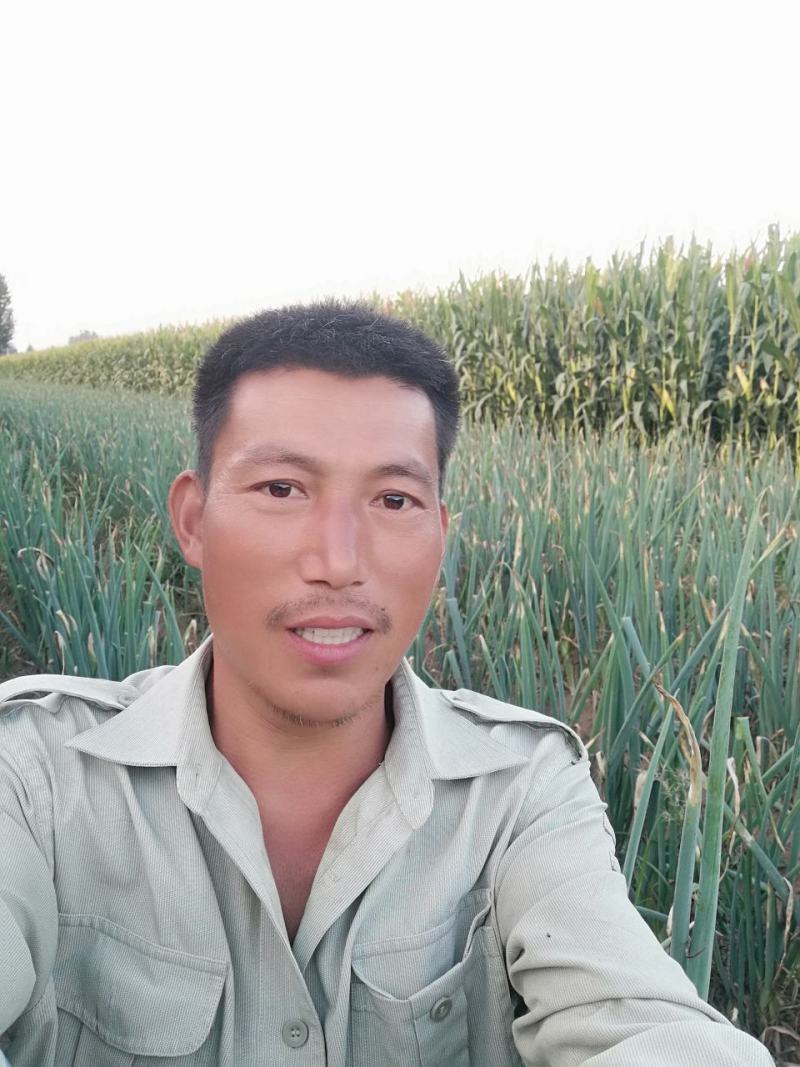 章丘大葱！正在上市中！笑迎天下客！！！！！！！