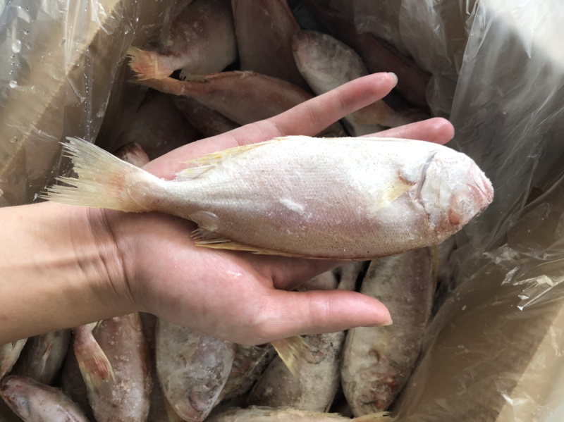 东山海鲜红目鲢食堂排挡供应