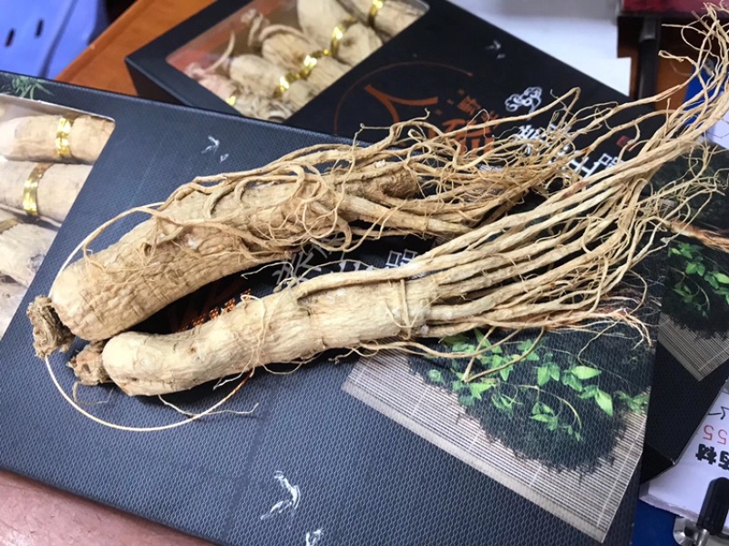 送礼精选人参生晒人参5年参礼盒🎁装配更显尊贵