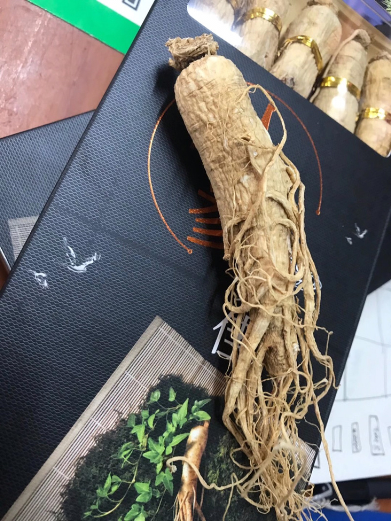 送礼精选人参生晒人参5年参礼盒🎁装配更显尊贵