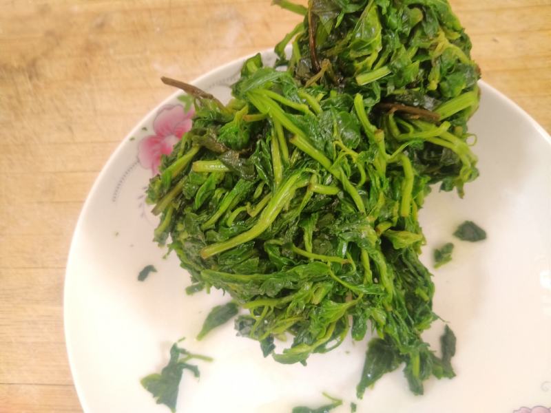 枸杞芽菜，自然生长，开春人工採摘。