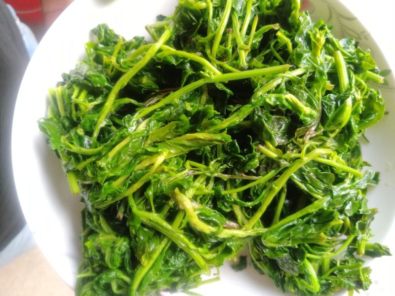 枸杞芽菜，自然生长，开春人工採摘。