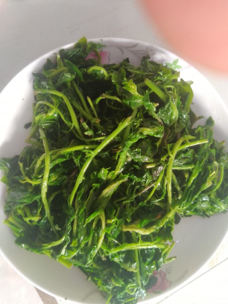 枸杞芽菜，自然生长，开春人工採摘。