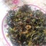 枸杞芽菜，自然生长，开春人工採摘。