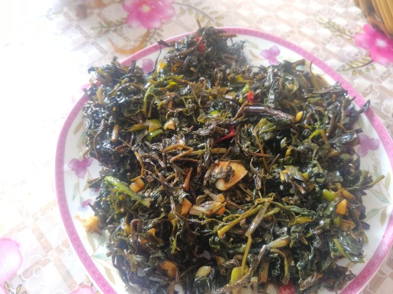 枸杞芽菜，自然生长，开春人工採摘。