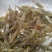 原生态淡水河虾，朱赵新河水产！可合作养殖！