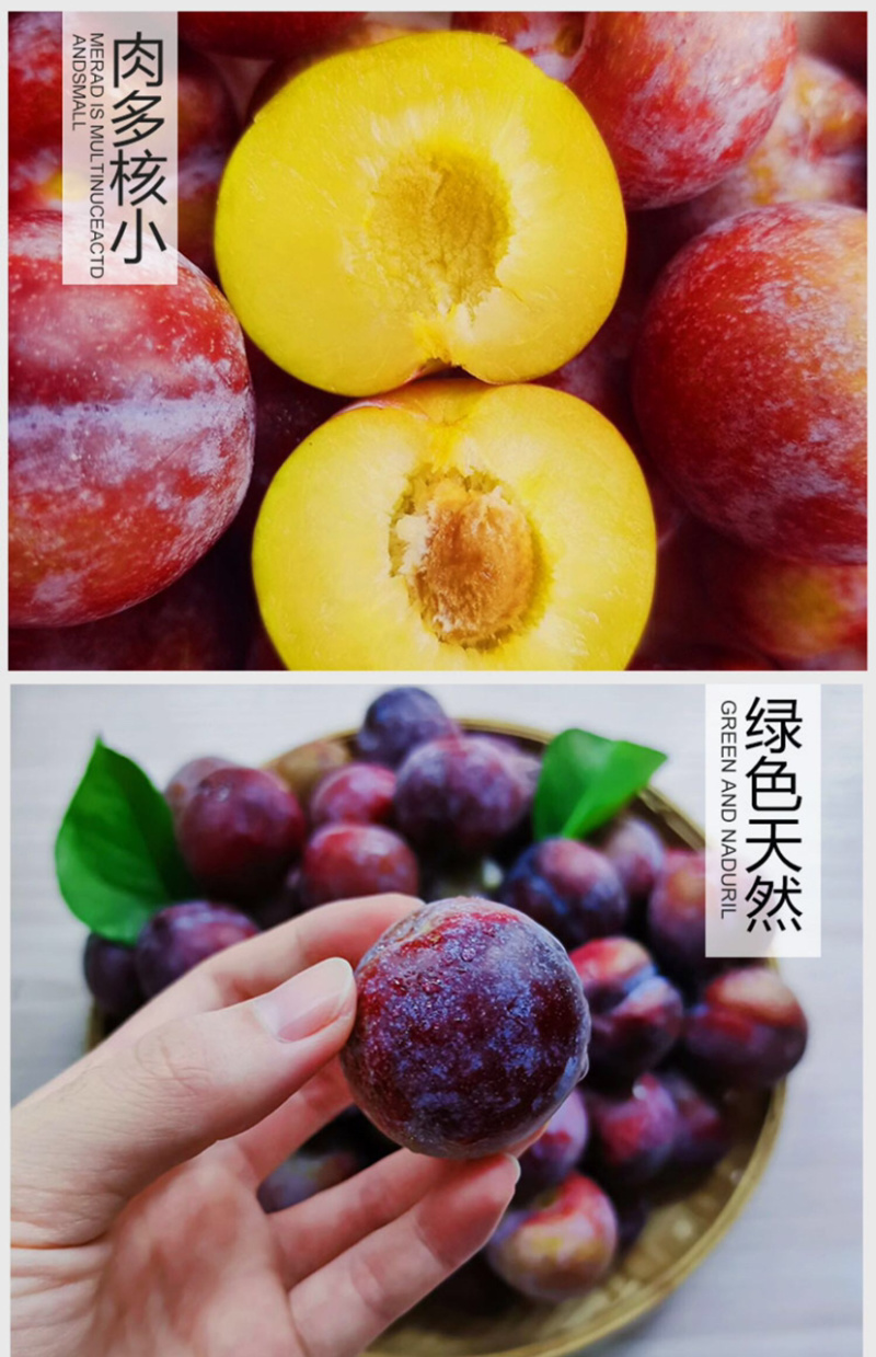 脆红李红翠李代办专业代办不是果农！非诚勿扰
