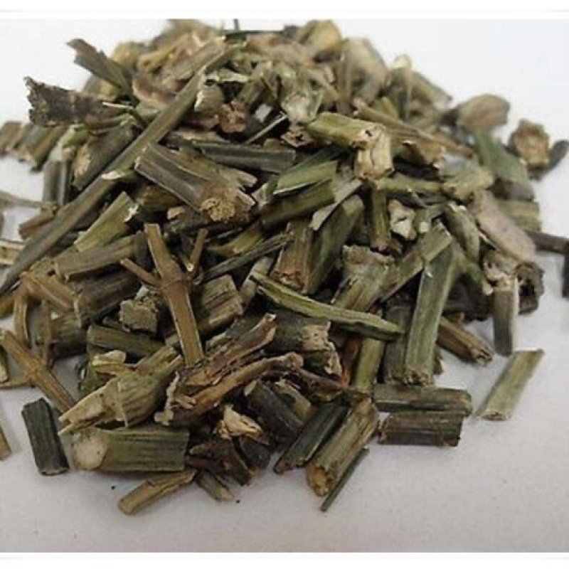 穿心莲一手货源产地直销量大从优