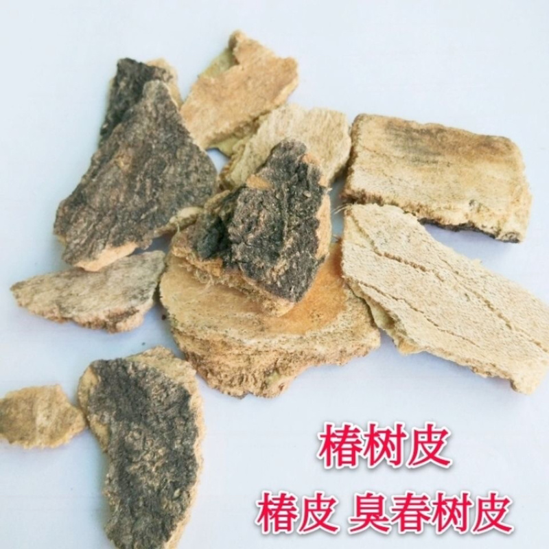 椿皮一手货源产地直销量大从优