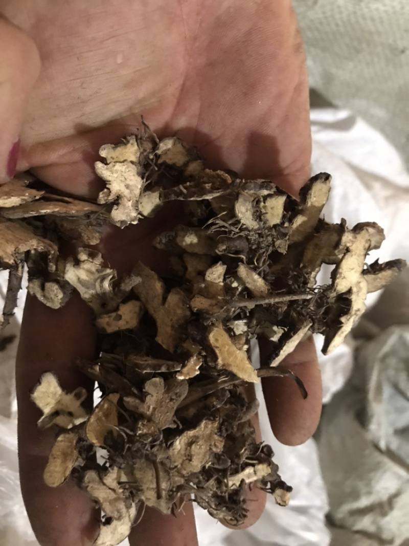 仙灵脾保庆药业批发仙灵脾淫羊藿根
