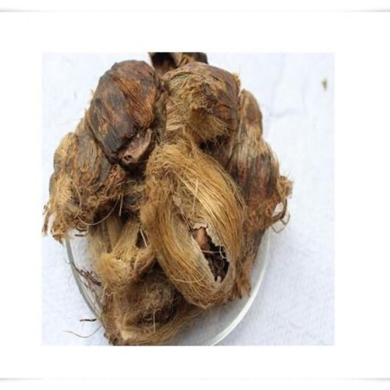 大腹皮一手货源产地直销