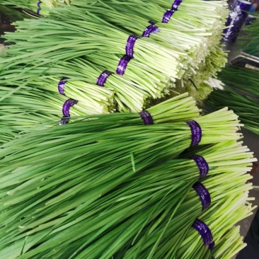 广东精品韭菜超市快递专用包装