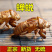 蝉蜕一手货源产地直销