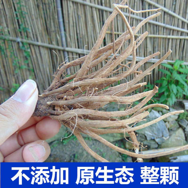 大蓟根一手货源产地直销量大从优