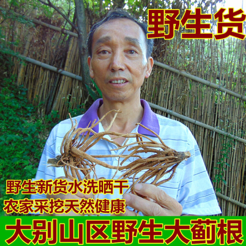 大蓟根一手货源产地直销量大从优