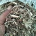 长年出售花生秧牛羊草、花生秧草粉、花生秧颗粒、压块麦秸。
