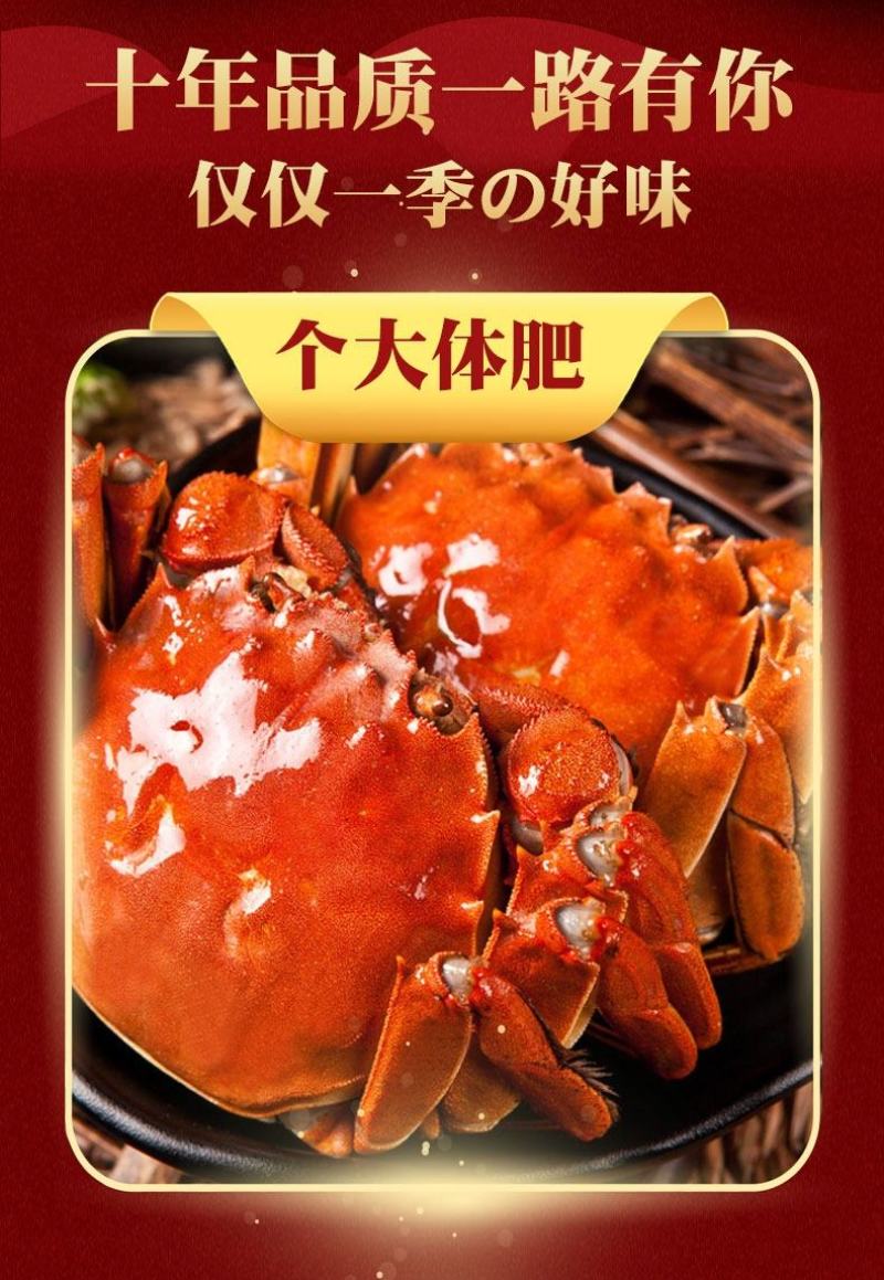 鲜活阳澄湖大闸蟹新鲜海鲜水产公母蟹六月黄大螃蟹包邮礼盒装