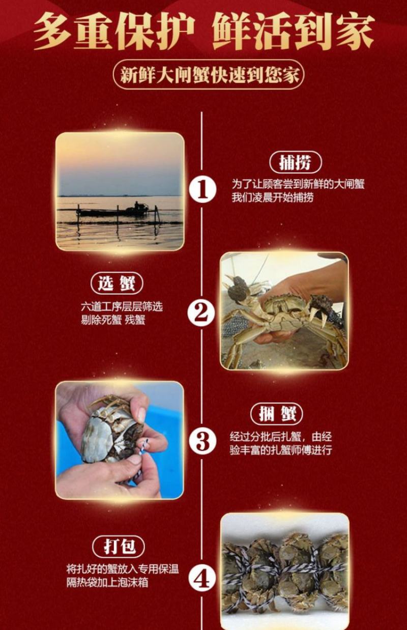 鲜活阳澄湖大闸蟹新鲜海鲜水产公母蟹六月黄大螃蟹包邮礼盒装