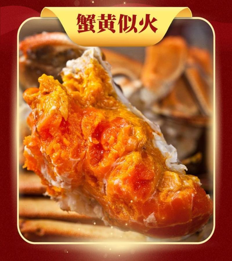 鲜活阳澄湖大闸蟹新鲜海鲜水产公母蟹六月黄大螃蟹包邮礼盒装