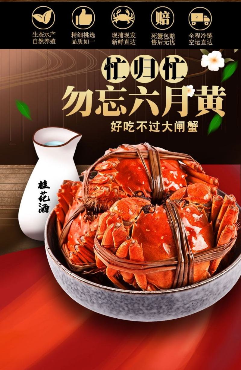 鲜活阳澄湖大闸蟹新鲜海鲜水产公母蟹六月黄大螃蟹包邮礼盒装