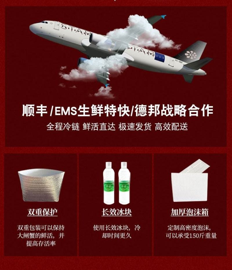 鲜活阳澄湖大闸蟹新鲜海鲜水产公母蟹六月黄大螃蟹包邮礼盒装