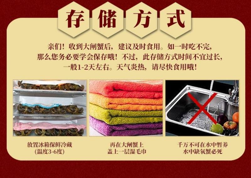 鲜活阳澄湖大闸蟹新鲜海鲜水产公母蟹六月黄大螃蟹包邮礼盒装