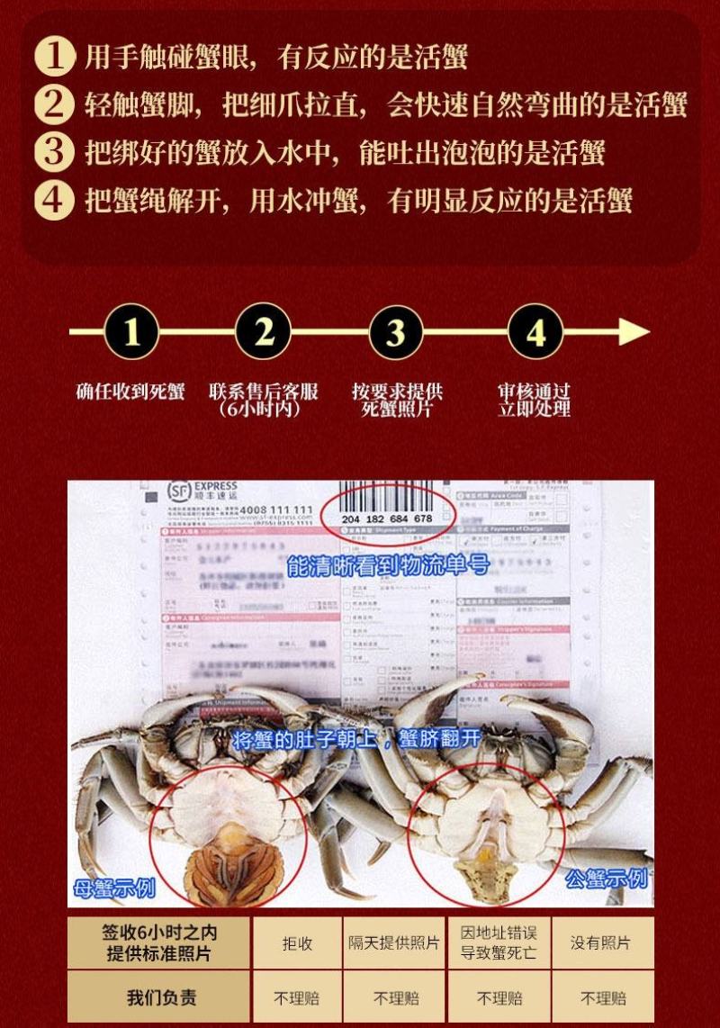 鲜活阳澄湖大闸蟹新鲜海鲜水产公母蟹六月黄大螃蟹包邮礼盒装
