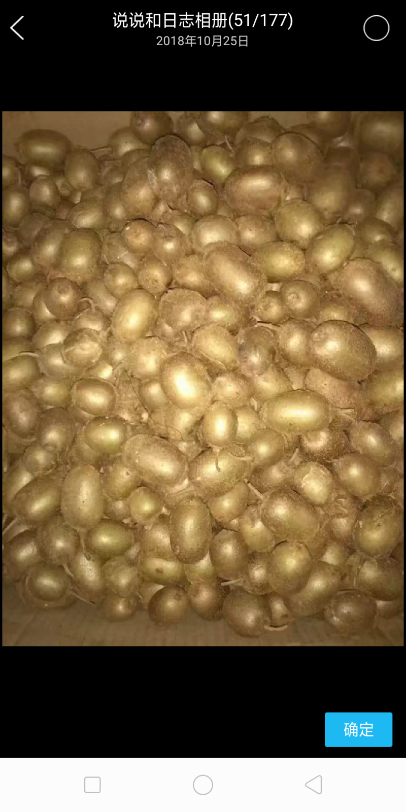 迷猴桃，来至深山老林的宝贝