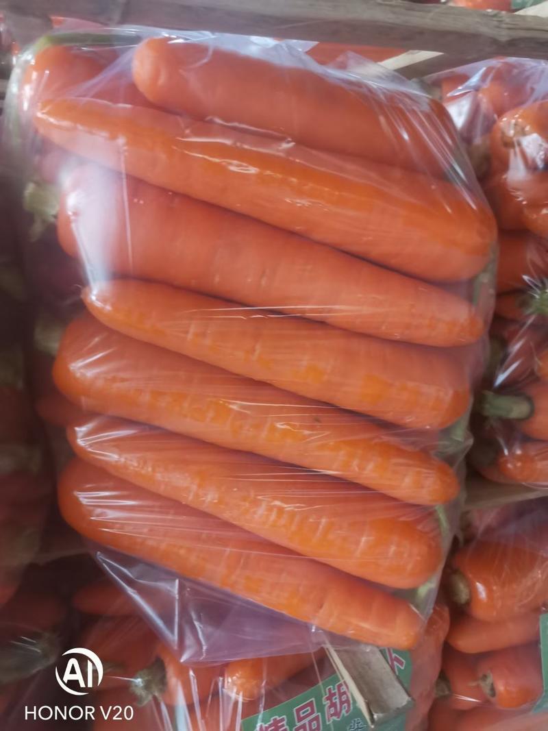 胡萝卜。三红胡萝卜。红胡萝卜。