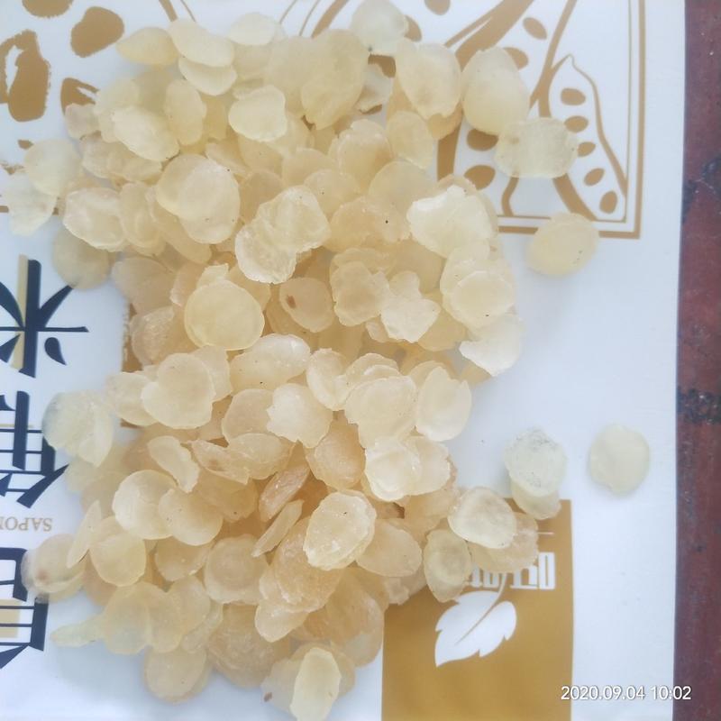 贵州皂角米自产自销欢迎订购