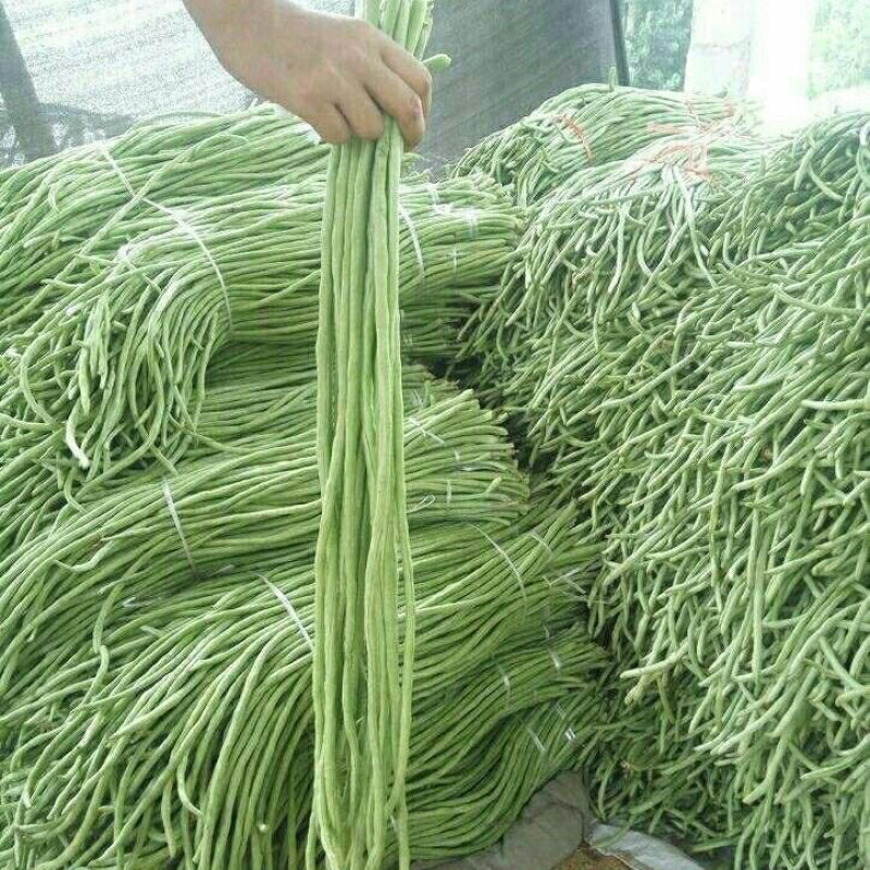 密云水库农场新鲜蔬菜大量供应社区，超市，豇豆5斤起售