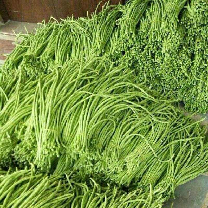 密云水库农场新鲜蔬菜大量供应社区，超市，豇豆5斤起售