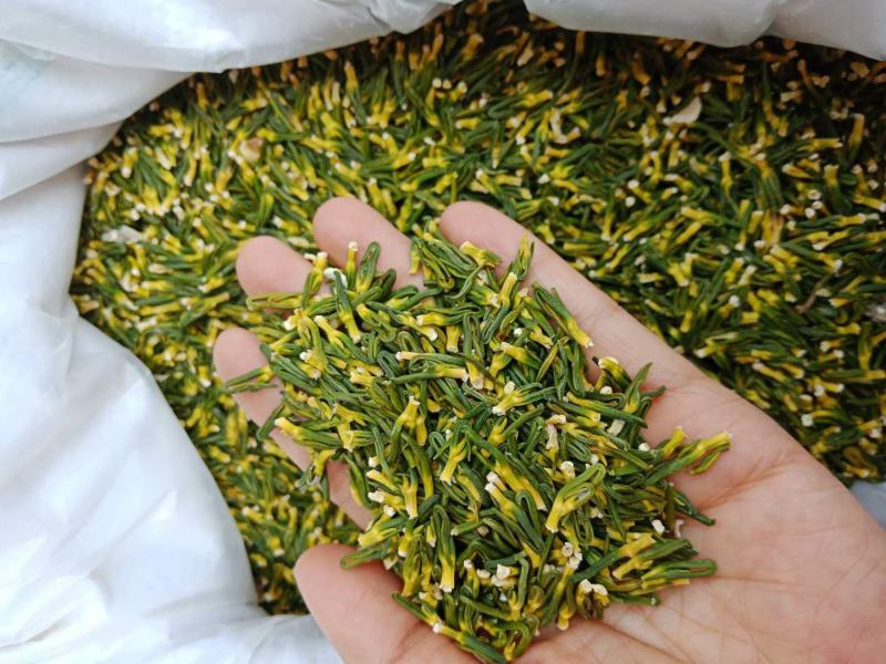 红白莲子心莲芯莲心茶莲子芯茶莲心干货