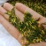 红白莲子心莲芯莲心茶莲子芯茶莲心干货