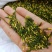 红白莲子心莲芯莲心茶莲子芯茶莲心干货