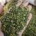 红白莲子心莲芯莲心茶莲子芯茶莲心干货