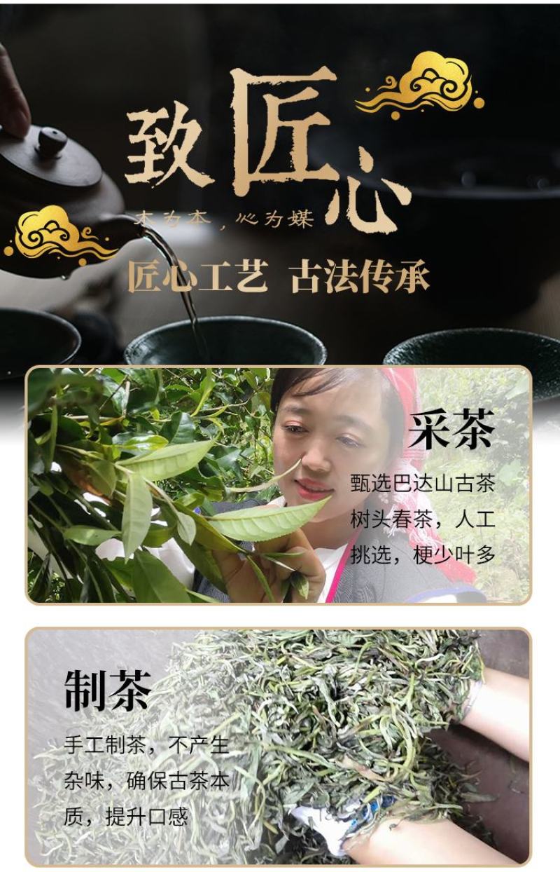 包装茶农新款自产年大叶种头春大树乔木日晒普洱生茶白茶20