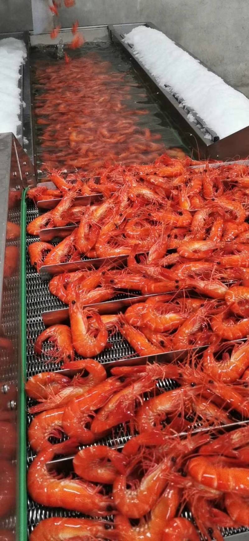 熟冻黑虎虾，1件10盒，1盒净400克，上海全国发货